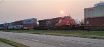 CN 3810
